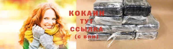 дмт Кинешма